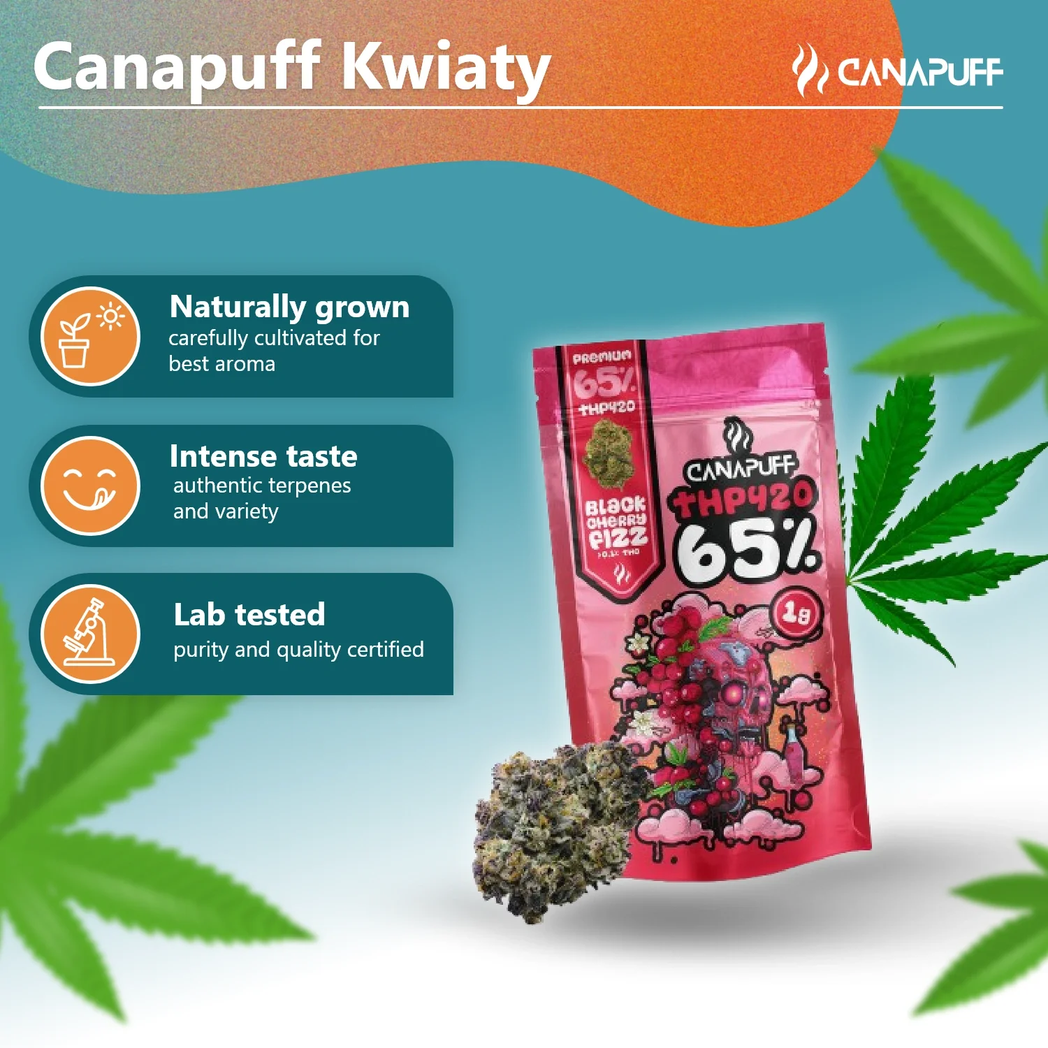 THP420 Flowers Black Cherry Fizz 65% - Image 3