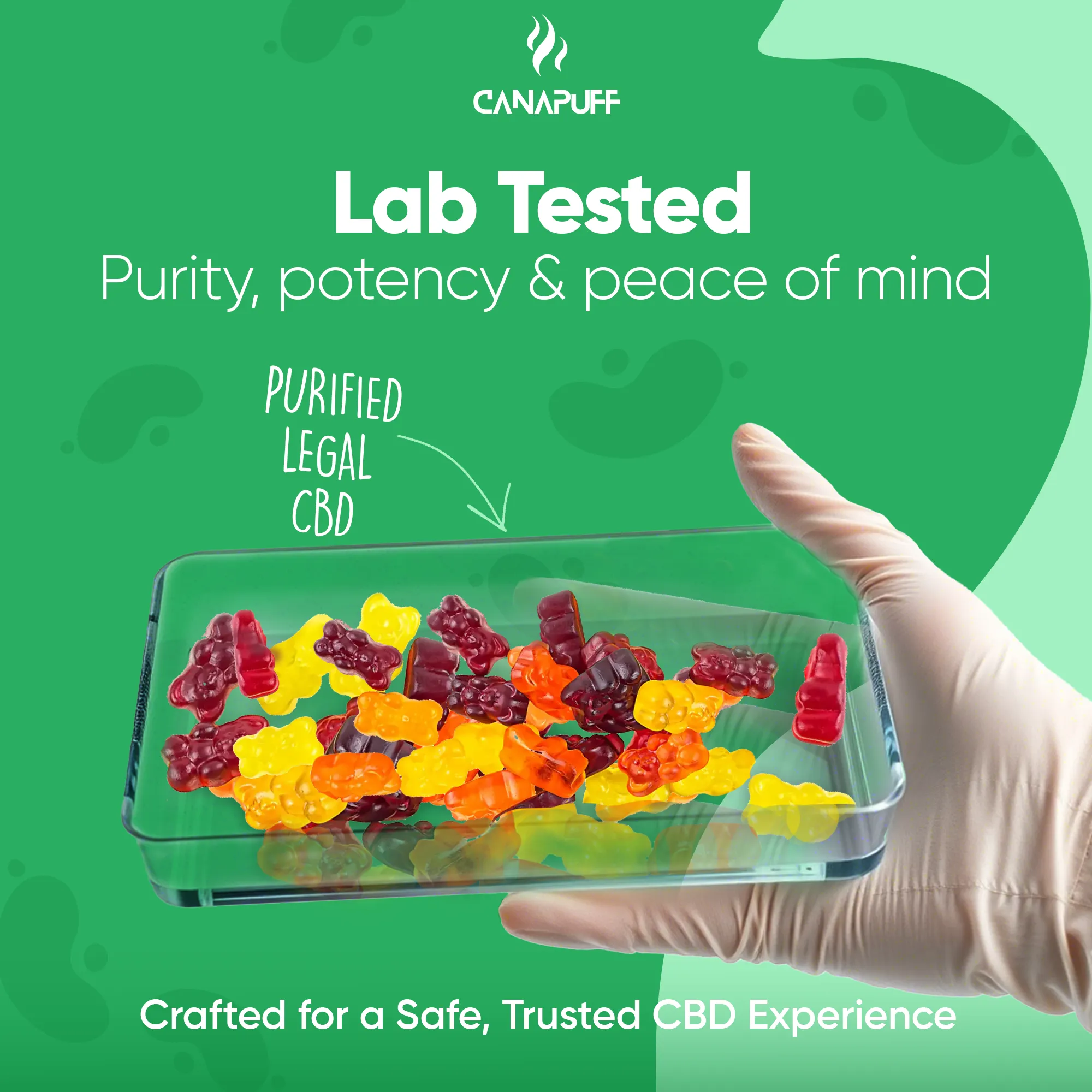 CBD Gummies Immunity - Image 8